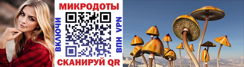Галлюциногенные грибы мицелий  Осташков 