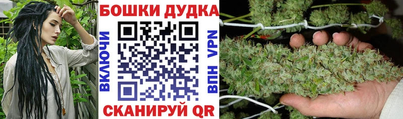 Шишки марихуана сатива  Осташков 